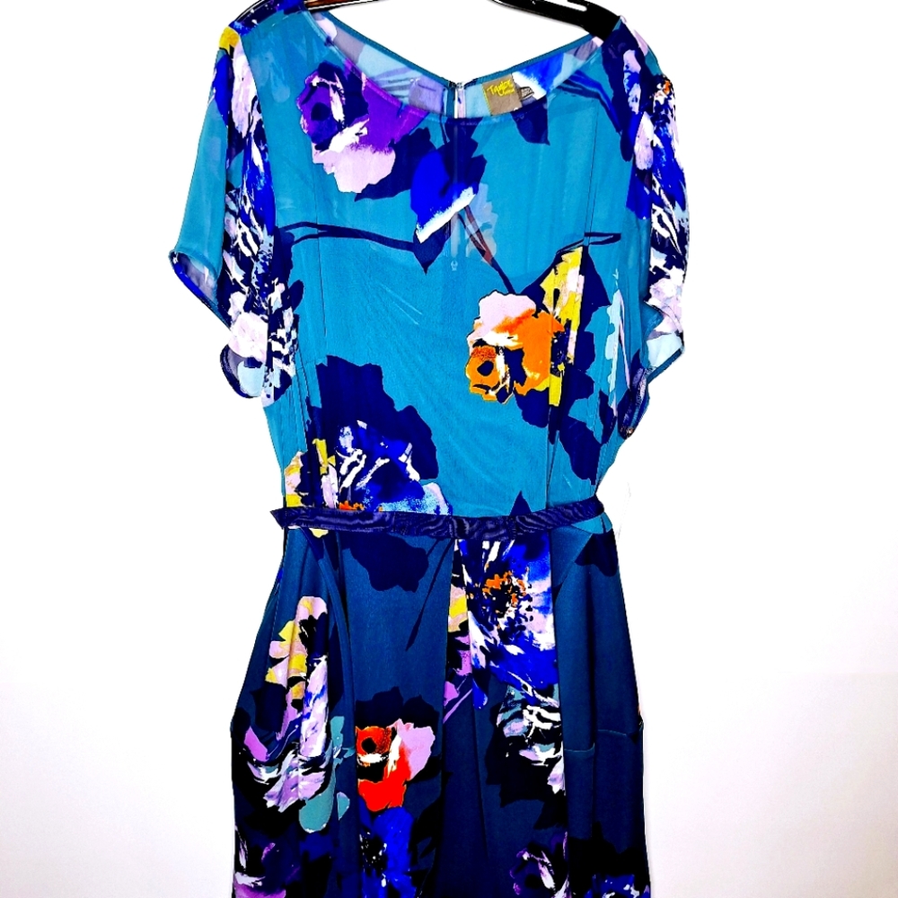 NWT Taylor brand " The Sheer Garden delight" aline plus size dress size 24W.